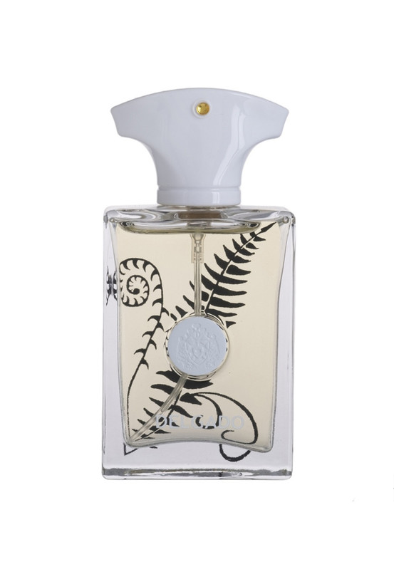 عطر زنانه آمواج براکن دلگادو ۲۵ میل DELGADO