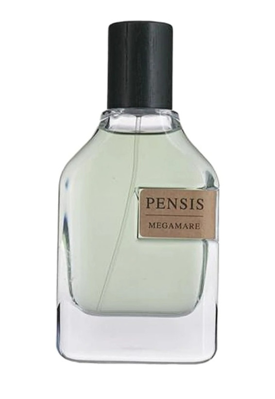 ادکلن مردانه اورتو پاریسی مگاماره پنسیس Pensis