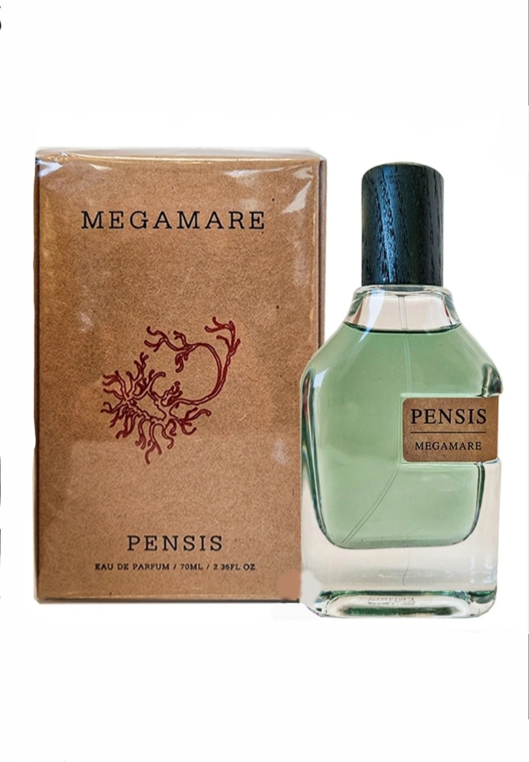 ادکلن مردانه اورتو پاریسی مگاماره پنسیس Pensis