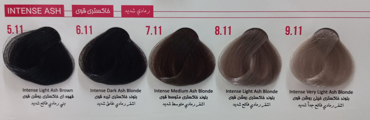 رنگ مو خاکستری ۶.11 پرسونال PERSONAL