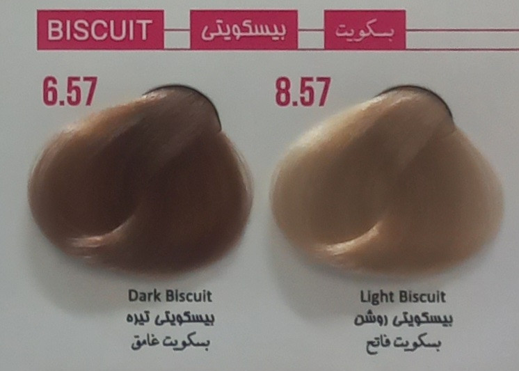 رنگ مو بیسکویتی 6.57 پرسونال PERSONAL