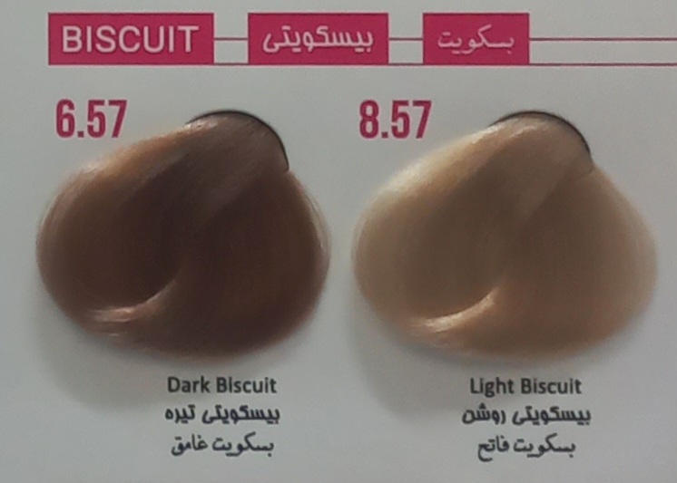 رنگ مو بیسکویتی 8.57 پرسونال PERSONAL